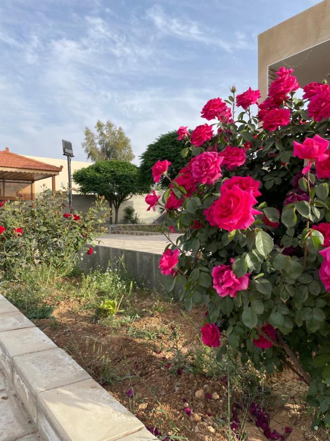 مزرعة النجم Najem Farm Villa Al-Qasr Eksteriør bilde
