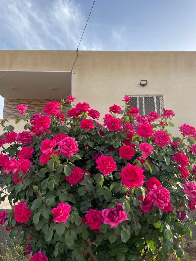 مزرعة النجم Najem Farm Villa Al-Qasr Eksteriør bilde